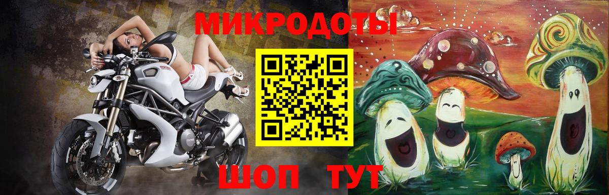 Галлюциногенные грибы Psilocybine cubensis Челябинск